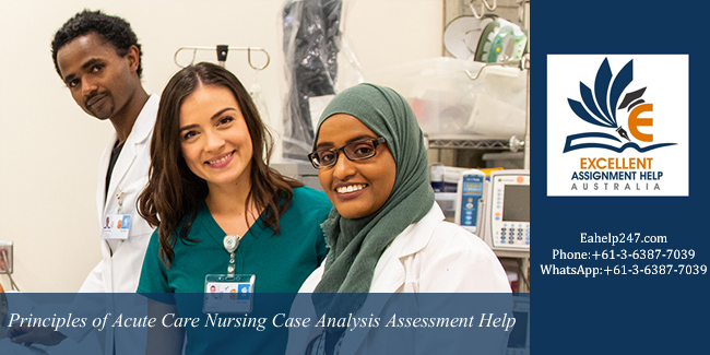 038 Principles of Acute Care Nursing Case Analysis 2  Assessment-Australian College of Nursing