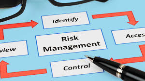 BUSM3206 Risk Management Plan Assignment-RMIT University.
