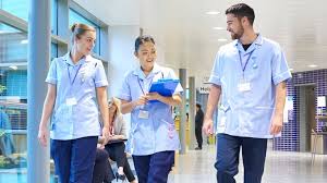 NUM2306 Nursing Assignment-Australia