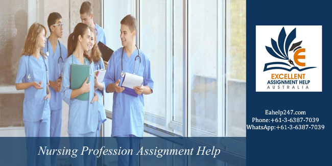 Nursing Profession Assignment